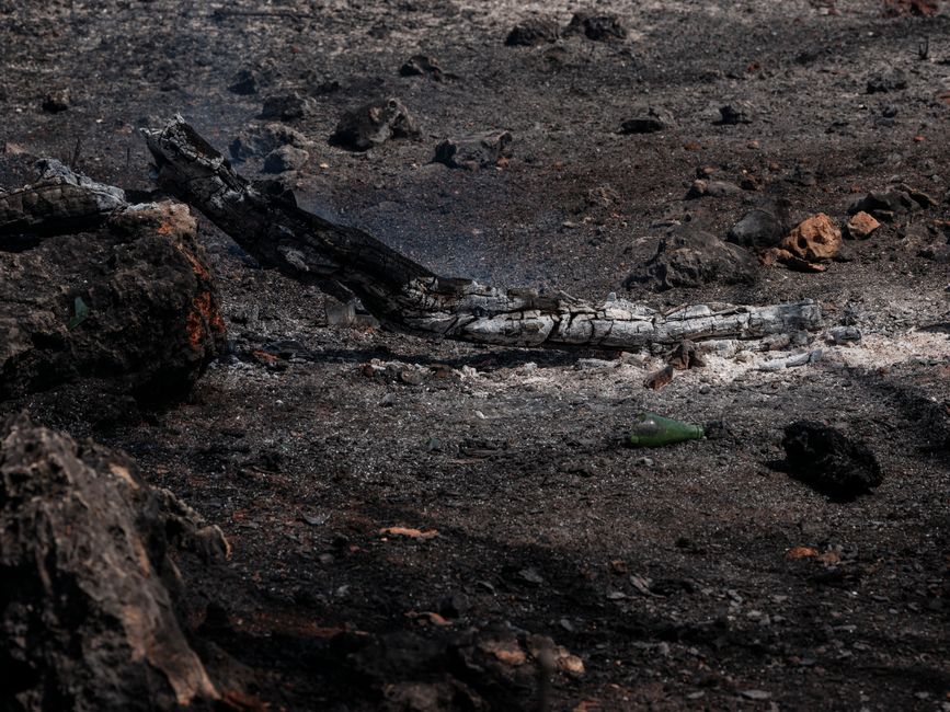 Incendi: “Con il caldo e la siccità i boschi sono in pericolo. Serve più prevenzione”