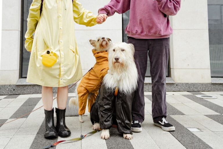 Bolognafiere, nuove partnership per crescere su moda, pet e vino